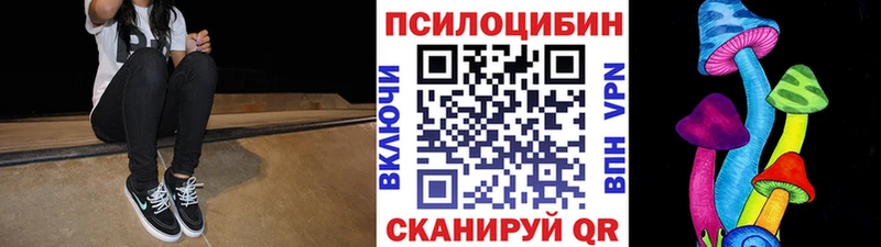 мега как зайти  хочу наркоту  Белая Холуница  Псилоцибиновые грибы мицелий 